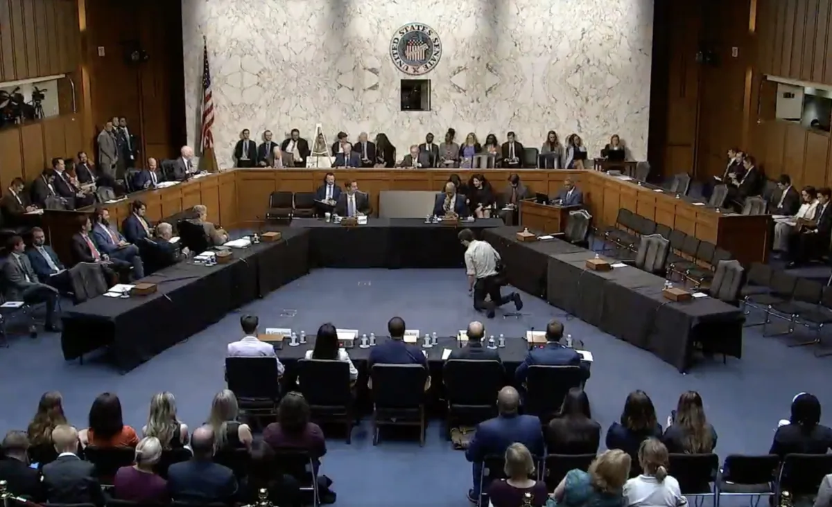 The Senate Judiciary Committee conducts the "Book Bans: Examining How Censorship Limits Liberty and Literature" congressional hearing on Sept. 12, 2023. (Jackson Elliott/The Epoch Times via video screenshot)