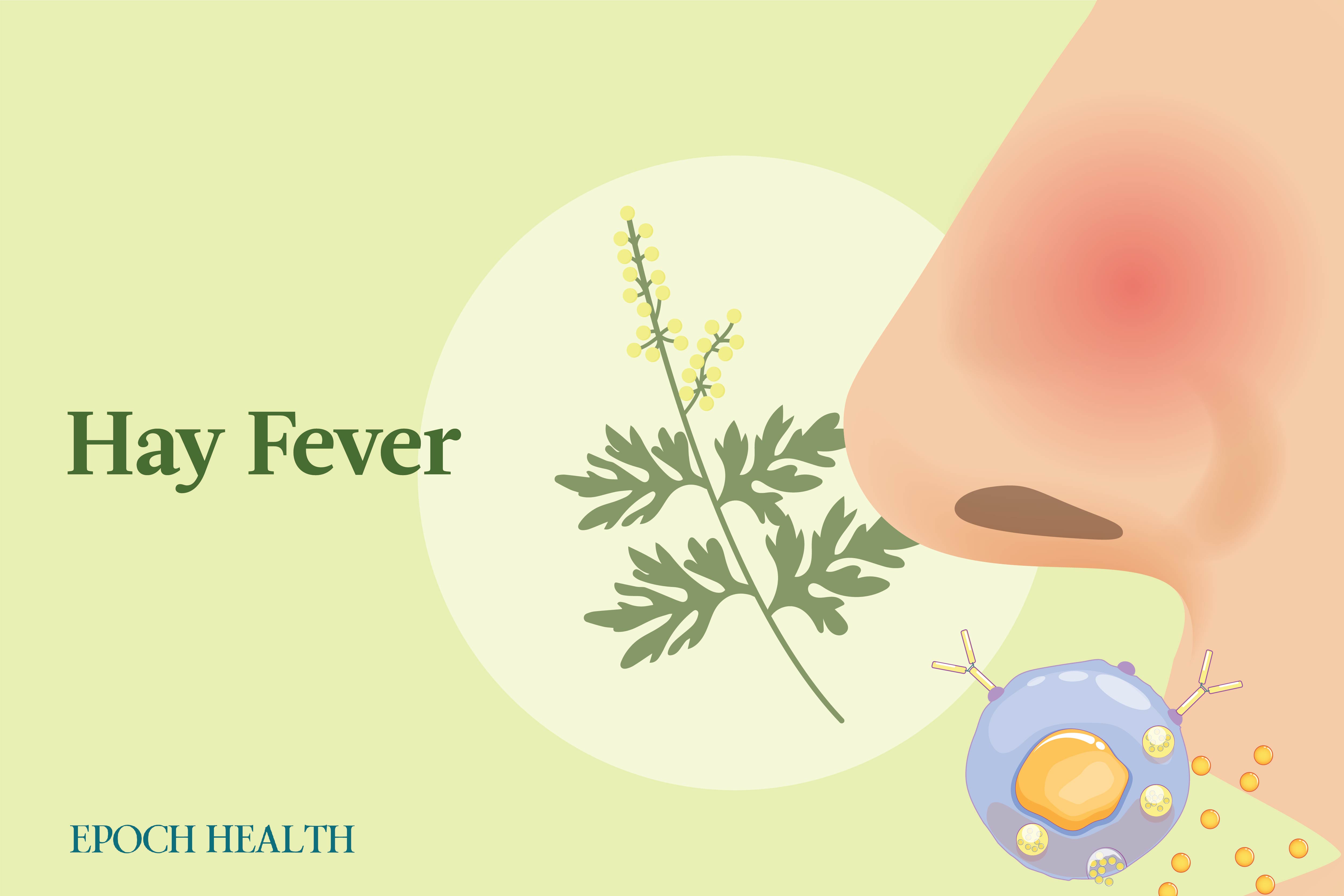 Hay Fever (Allergic Rhinitis): Symptoms, Causes, Treatments, and Natural Approaches