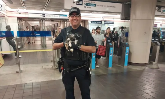 Police Return Emotional Support Rabbit That Ran Loose in Vancouver SkyTrain Station