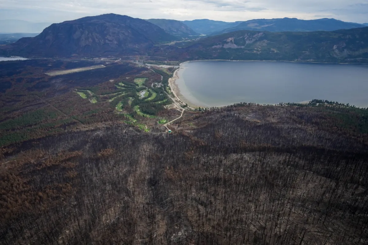 Trees burned by the Bush Creek East Wildfire are seen above Little Shuswap Lake in Squilax, B.C., on Sept. 11, 2023. (The Canadian Press/Darryl Dyck)