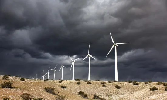 Grid Watchdog Warns of Potential Blackouts, Criticizes ‘Less Reliable’ Solar and Wind Power