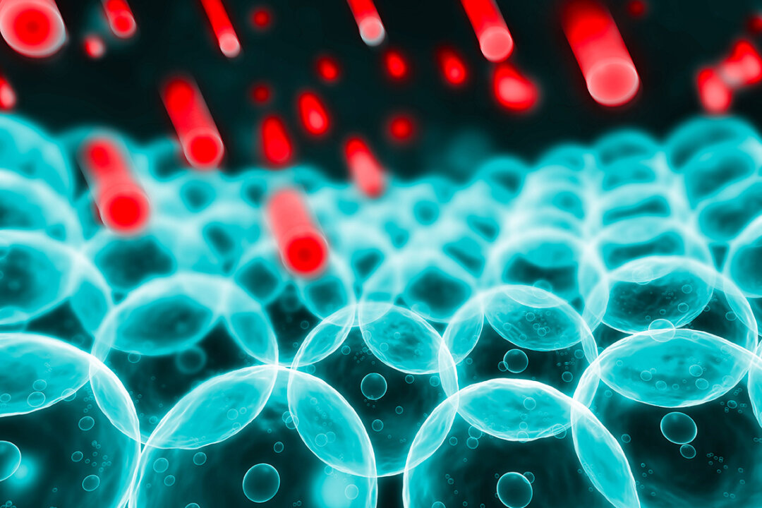 (SciePro/Shutterstock)