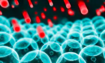 The ‘Cause’ of Many Diseases May Have Been Misunderstood