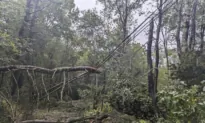 Hurricane Watches Issued for Southwestern Nova Scotia and Southern New Brunswick