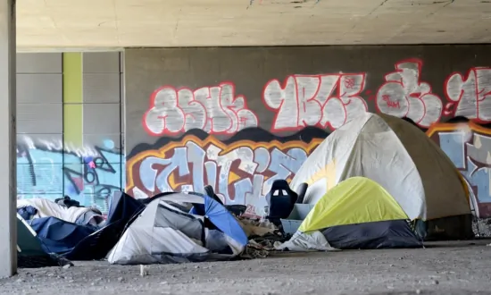 Residents Urge Winter Stay Option for Campsite Dwellers in Halifax Amid Housing Crisis