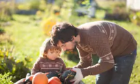 Reaping the Bounty: Garden Harvesting and Storage Methods