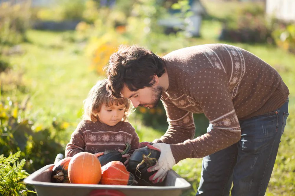 Only store fruits and vegetables that weren't damaged during harvest.(Alina Demidenko/Shutterstock)