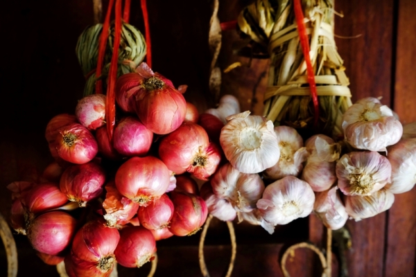 Onion and Garlic: Cancer's Natural Nemeses