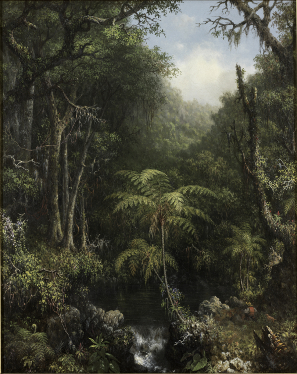 Martin Johnson Heade