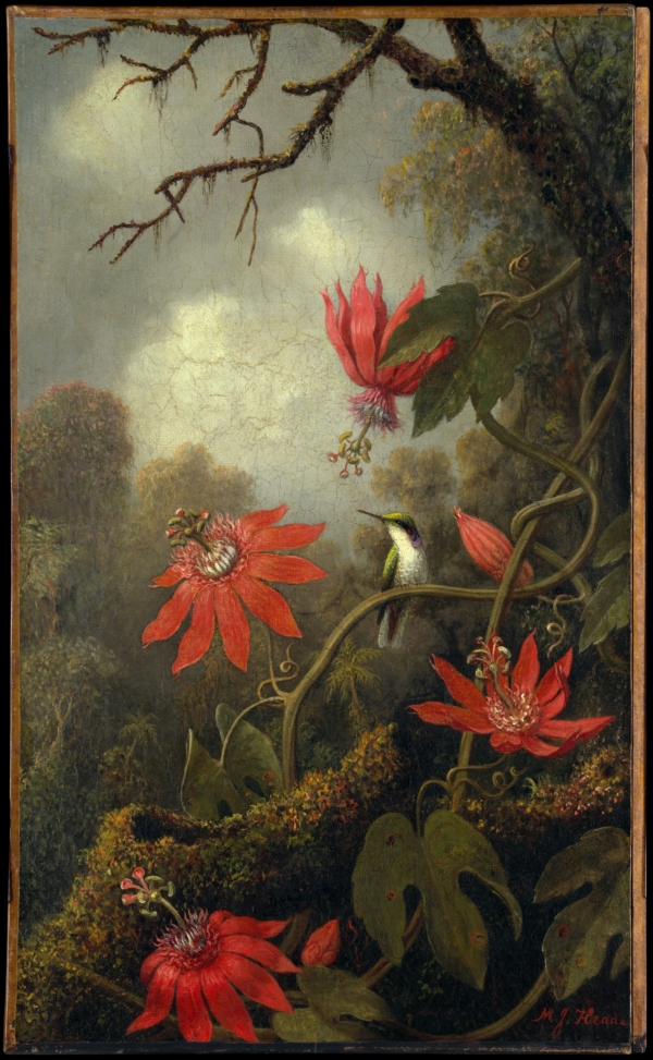 Martin Johnson Heade