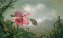 Painting the Tiny Jewels of the Jungle: Hummingbirds