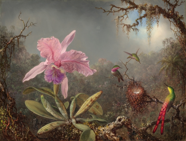 Martin Johnson Heade