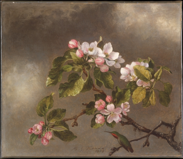Martin Johnson Heade