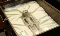UFO Enthusiast Presents ‘Alien Bodies’ at Mexican Congress
