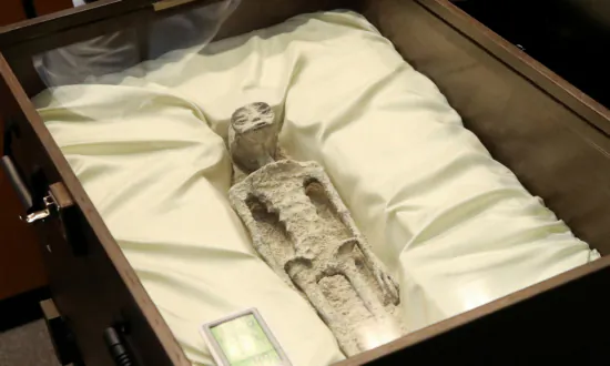 UFO Enthusiast Presents ‘Alien Bodies’ at Mexican Congress