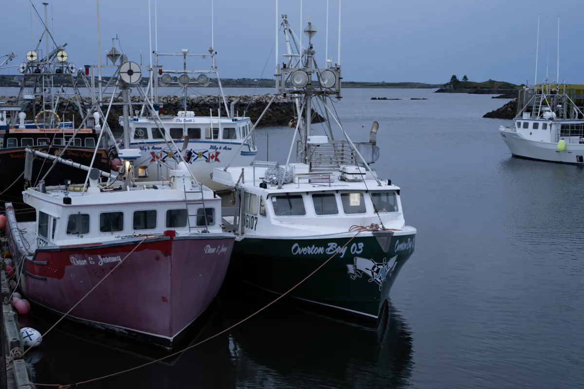Fishing boats are tied with ropes at low tide in anticipation of Hurricane Lee in Yarmouth Bar, N.S., on Sept. 15, 2023. (Bill Curry/The Canadian Press)