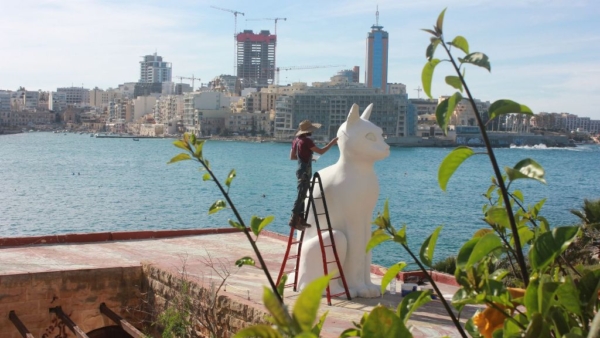 "Cats of Malta"