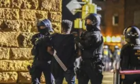 Dozens Are Injured at an Eritrean Event in Germany, Including 26 Police Officers