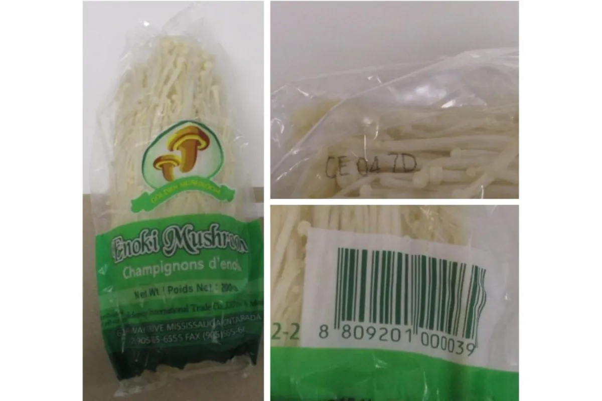 The Canadian Food Inspection Agency (CFIA) has issued a recall for Golden Mushroom brand Enoki mushrooms due to a possible Listeria contamination. (CFIA Handout)