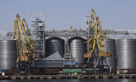 First 2 Cargo Ships Arrive in Ukrainian Port After Russia’s Exit From Grain Deal