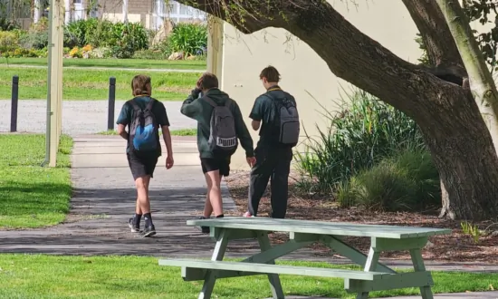 Government Promises ‘Practical’ Reforms in Response to Poor NAPLAN Results