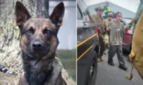 Police K9 Helps Takes Down Fugitive Murderer in the Woods After 14-day Manhunt in Philly