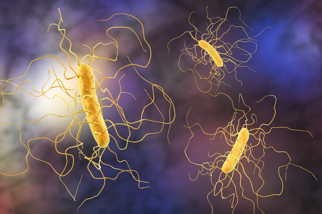 "We need to figure out ways to prevent patients from developing an infection when we give them tube feedings, antibiotics, proton pump inhibitors—all things which predispose people to getting an actual infection with C. diff that causes damage to the intestines or worse," said Dr. Vincent Young. (Kateryna Kon/Shutterstock)