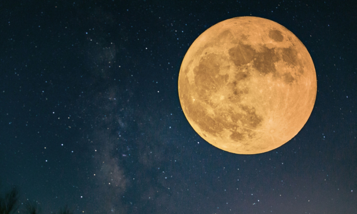 Hanging Low ‘Harvest Moon’ Will Be Bigger as Fourth and Final Supermoon of 2023—What to Know