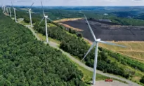 Billionaire Andrew Forrest to Build Biggest Wind Farm in New South Wales