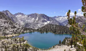 It’s a Glorious Time to Hike the High Sierra, Now a Paradise of Wildflowers and Snow
