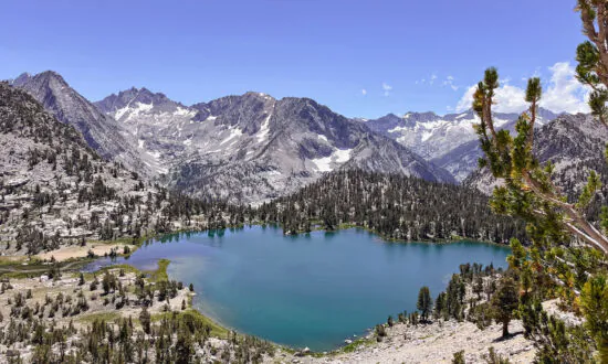 It’s a Glorious Time to Hike the High Sierra, Now a Paradise of Wildflowers and Snow