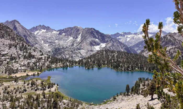 It’s a Glorious Time to Hike the High Sierra, Now a Paradise of Wildflowers and Snow