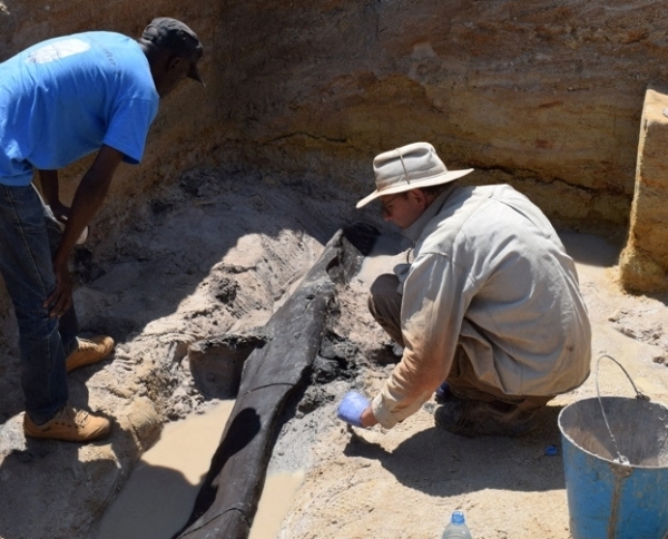 Researchers Uncover Wooden Artefacts