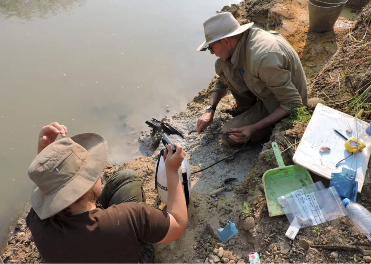 Researchers uncover wooden artefacts on the banks of the Kalambo River in Zambia, near where the oldest-known use of wood in construction was found in July 2019. (Larry Barham/University of Liverpool/Handout via Reuters)