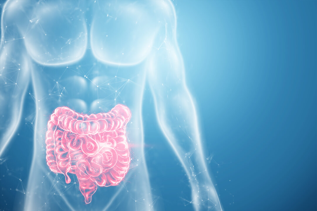 Gut motility is a marker not just of a host of diseases, but also to what might be going on in your gut microbiome. 