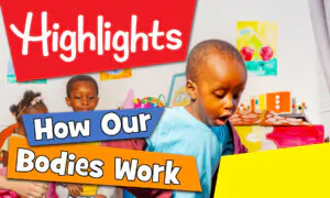 Highlights: How Our Bodies Work