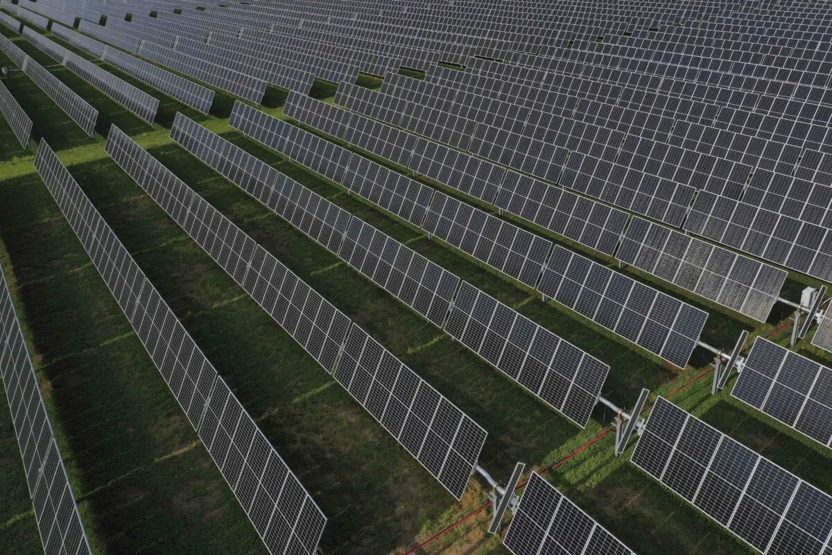 The Amazon Fort Powhatan solar farm in Disputanta, Va., on Aug. 19, 2022. (Drew Angerer/Getty Images)