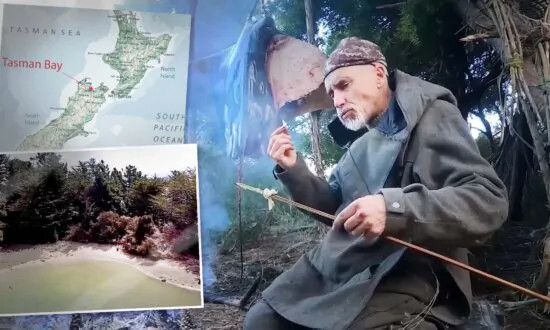Man Survives 5 Days on Empty Island in New Zealand in Winter With No Tools, Food, Fire—Here’s How