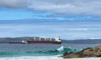 Stranded 30-tonne Sperm Whale Dies at Western Australia Beach