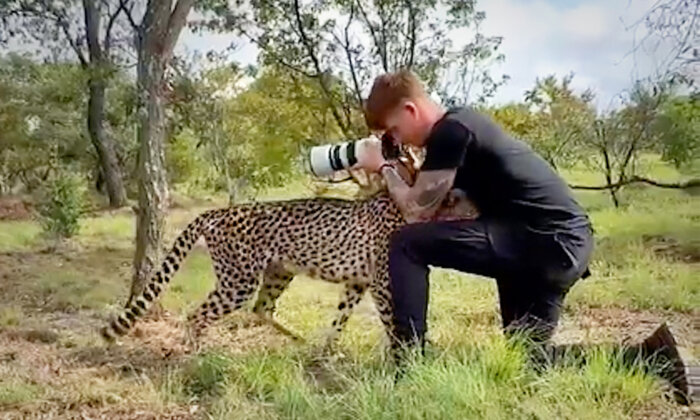 'It Was a Magical Moment': Photographer Gets Up Close With a Cheetah in South Africa