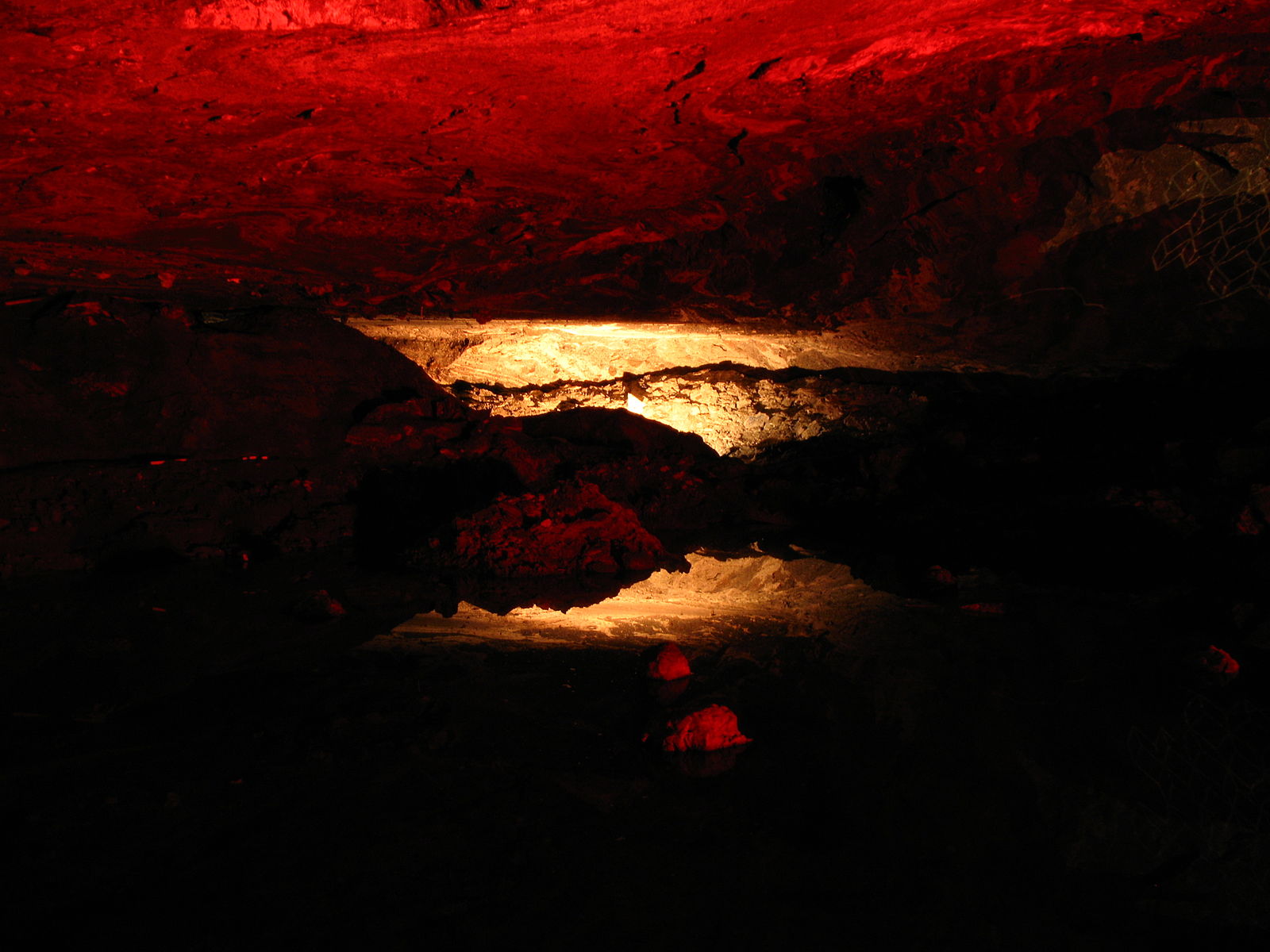 Epoch Times Photo