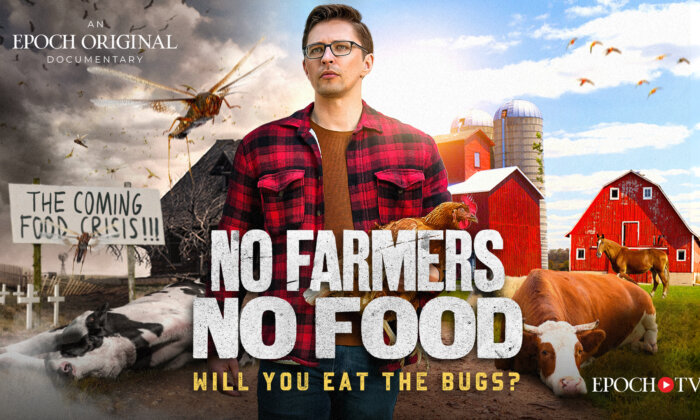 No Farmers No Food: Will You Eat The Bugs? | Documentary