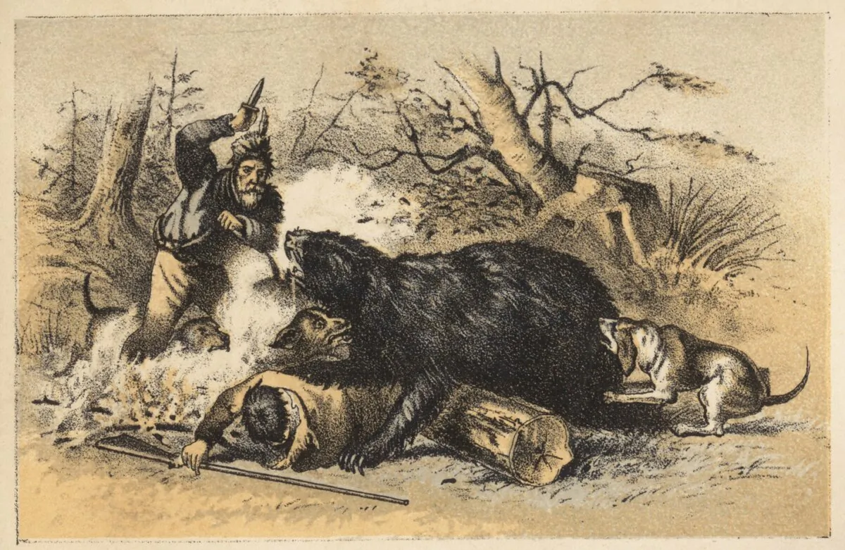 The 1824 attack
by a grizzly bear
on mountain man
Jedediah Smith
left his head
permanently marred. Boston Public Library. (CC0 BY 2.0) 
