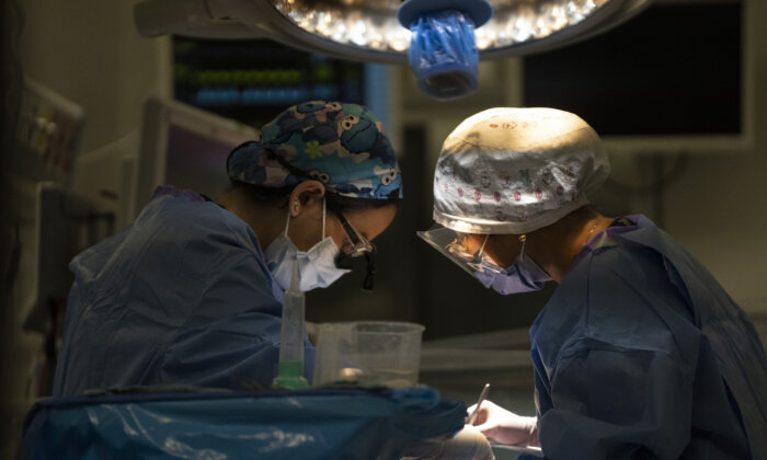 Government-Funded Surgeries in Quebec Increasingly Performed by Private Clinics: Study