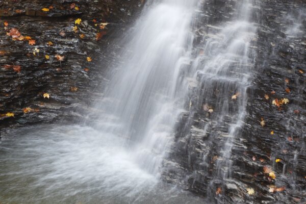 Epoch Times Photo