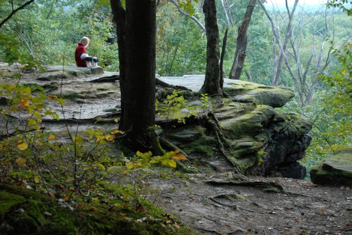 A popular place for being enveloped in the serenity of the park’s nature, Ledges Overlook is a stopping point along the Ledges Trail. (NPS)