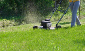 When’s the Best Time for Lawn Care? Right Now