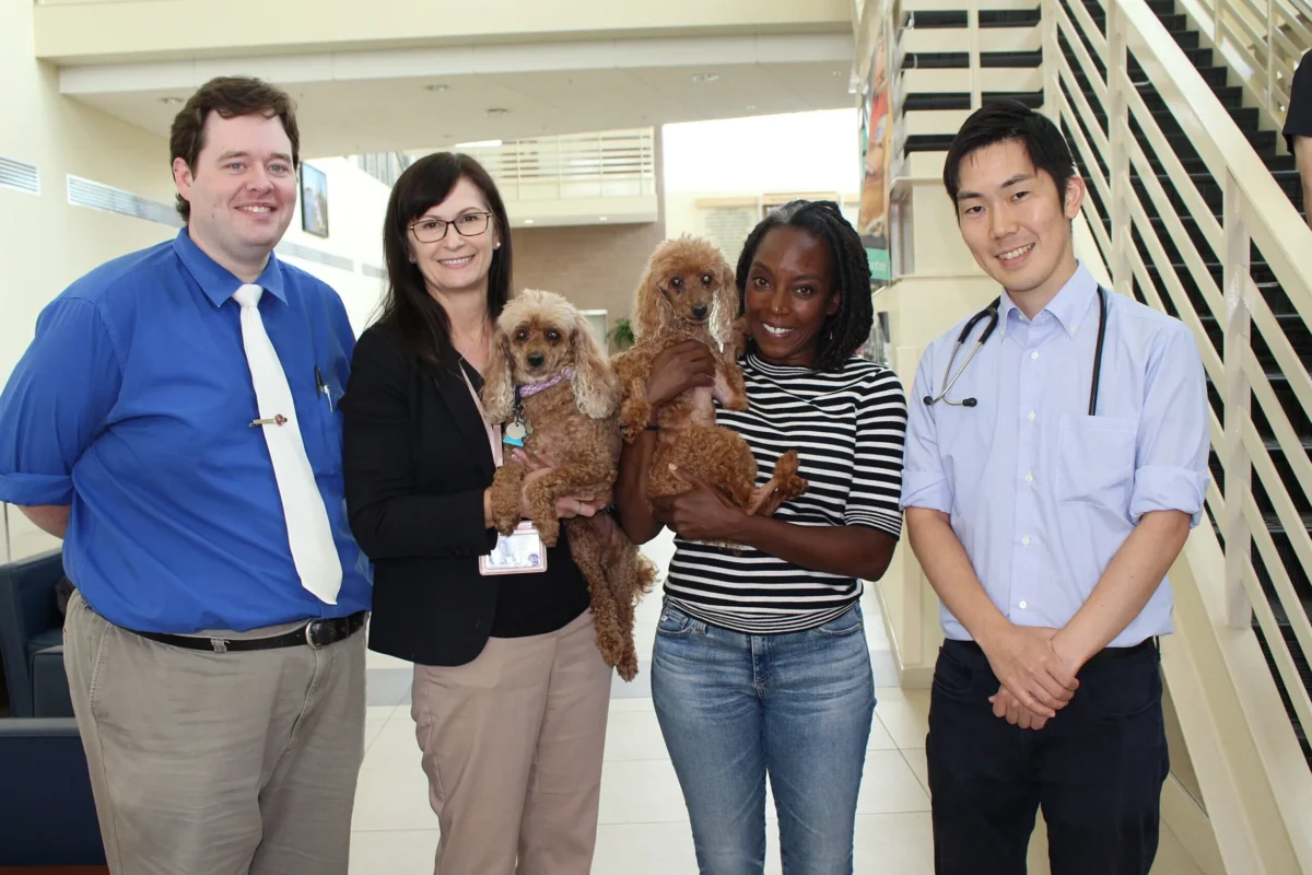 Veterinarians Michael Aherne (L), Darcy Adin (2nd L), who is holding Louise, and veterinary surgeon Katsuhiro Matsuura (R) pose for a photo with Kimberly David (2nd R), holding UF's first patient to receive mitral valve repair, her dog George, at the UF College of Veterinary Medicine before George's discharge on Aug. 28, 2023. (Courtesy of the UF College of Veterinary Medicine)