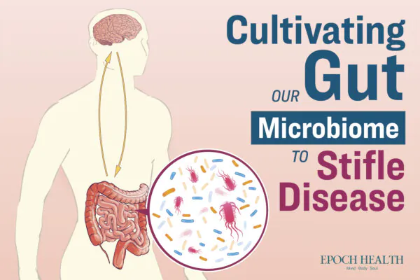 Cultivating Our Gut Microbiome to Stifle Disease