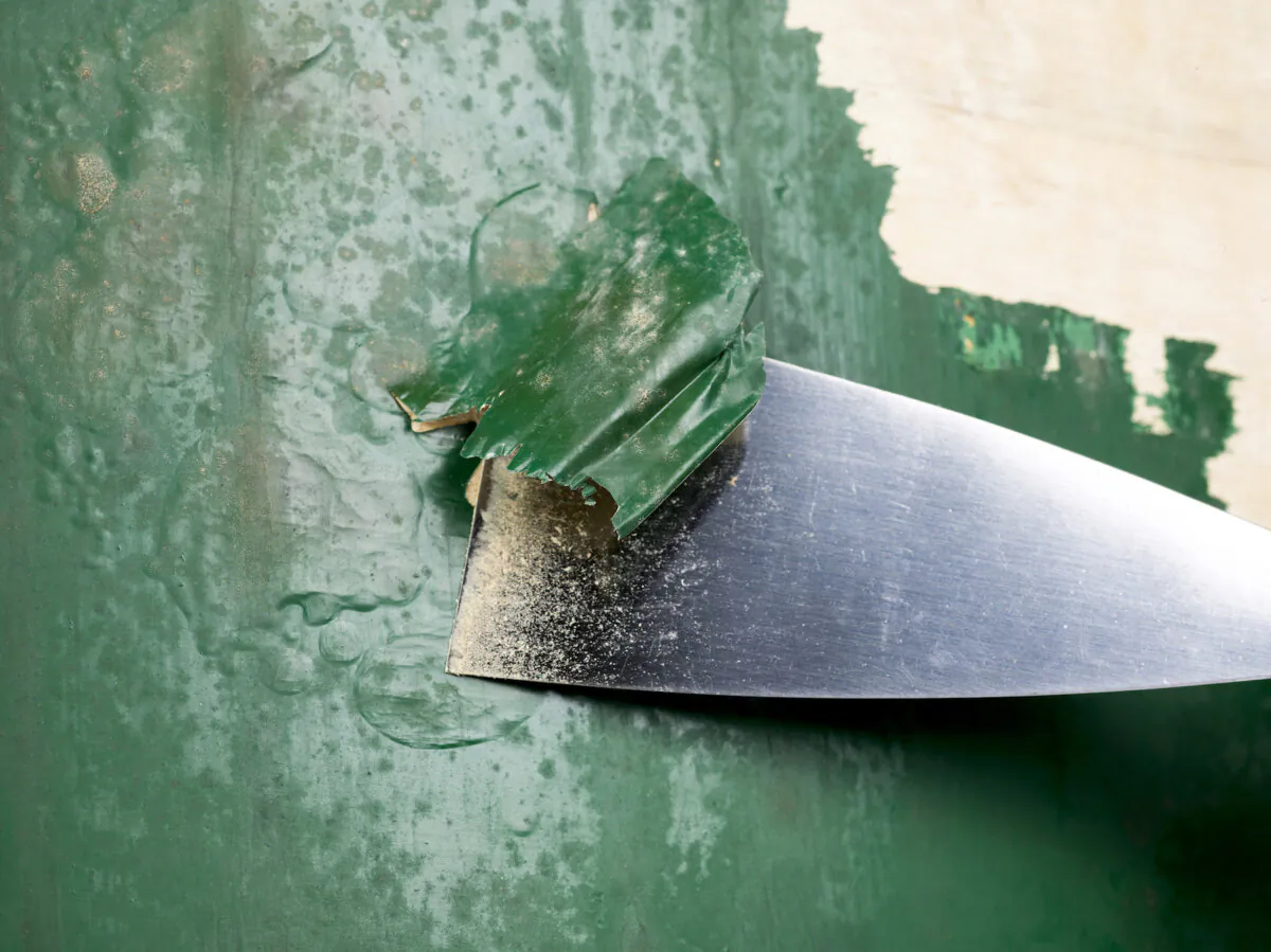 When the walls are dry, it's time to start the scraping. (Dan Kosmayer/Shutterstock)